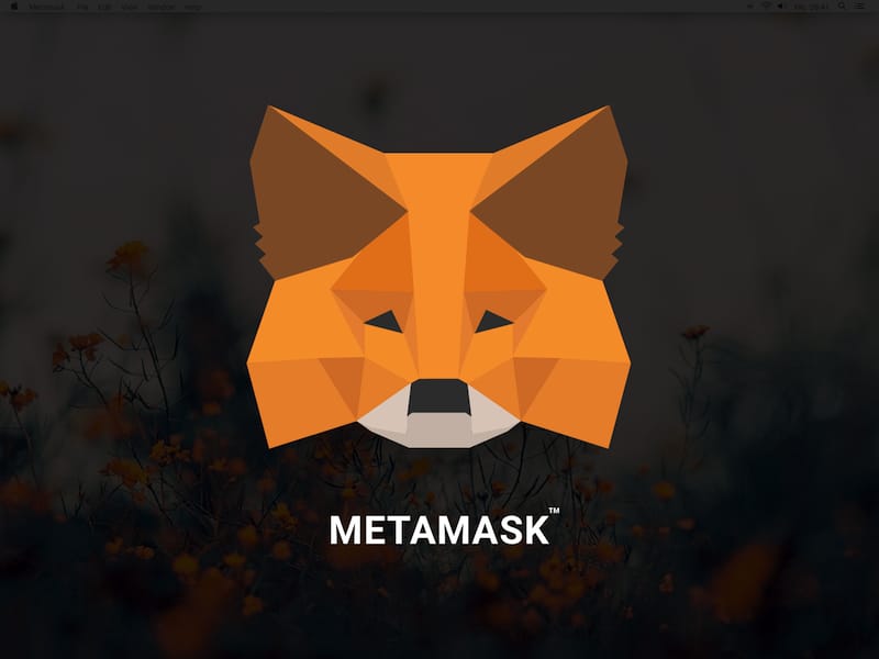 What is Meta Mask?